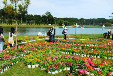  Festival Hoa Đà Lạt 2026: Hàng loạt hoạt động đặc sắc trải dài xuyên suốt năm
