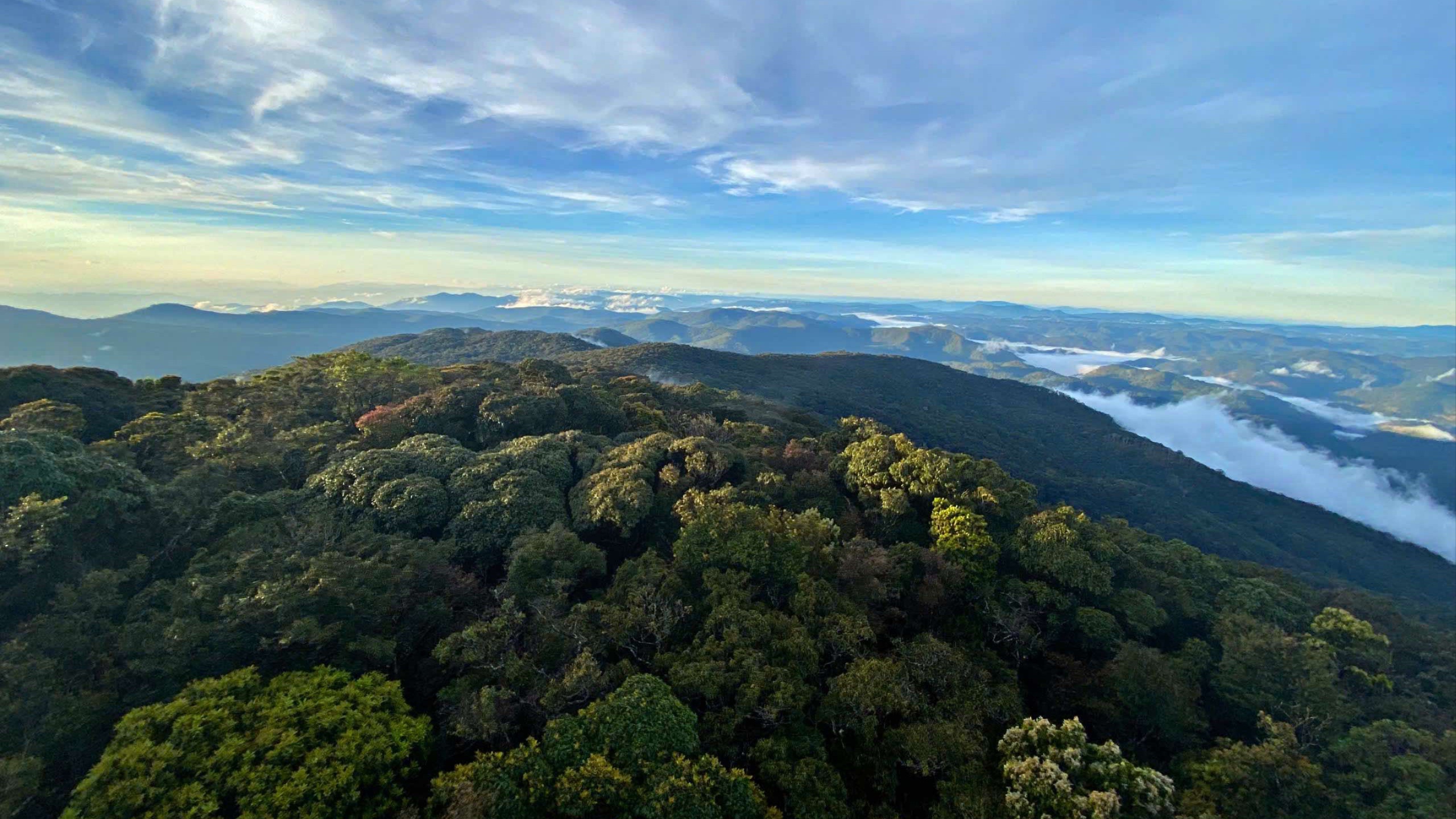 H&agrave;nh tr&igrave;nh chinh phục đỉnh Bidoup