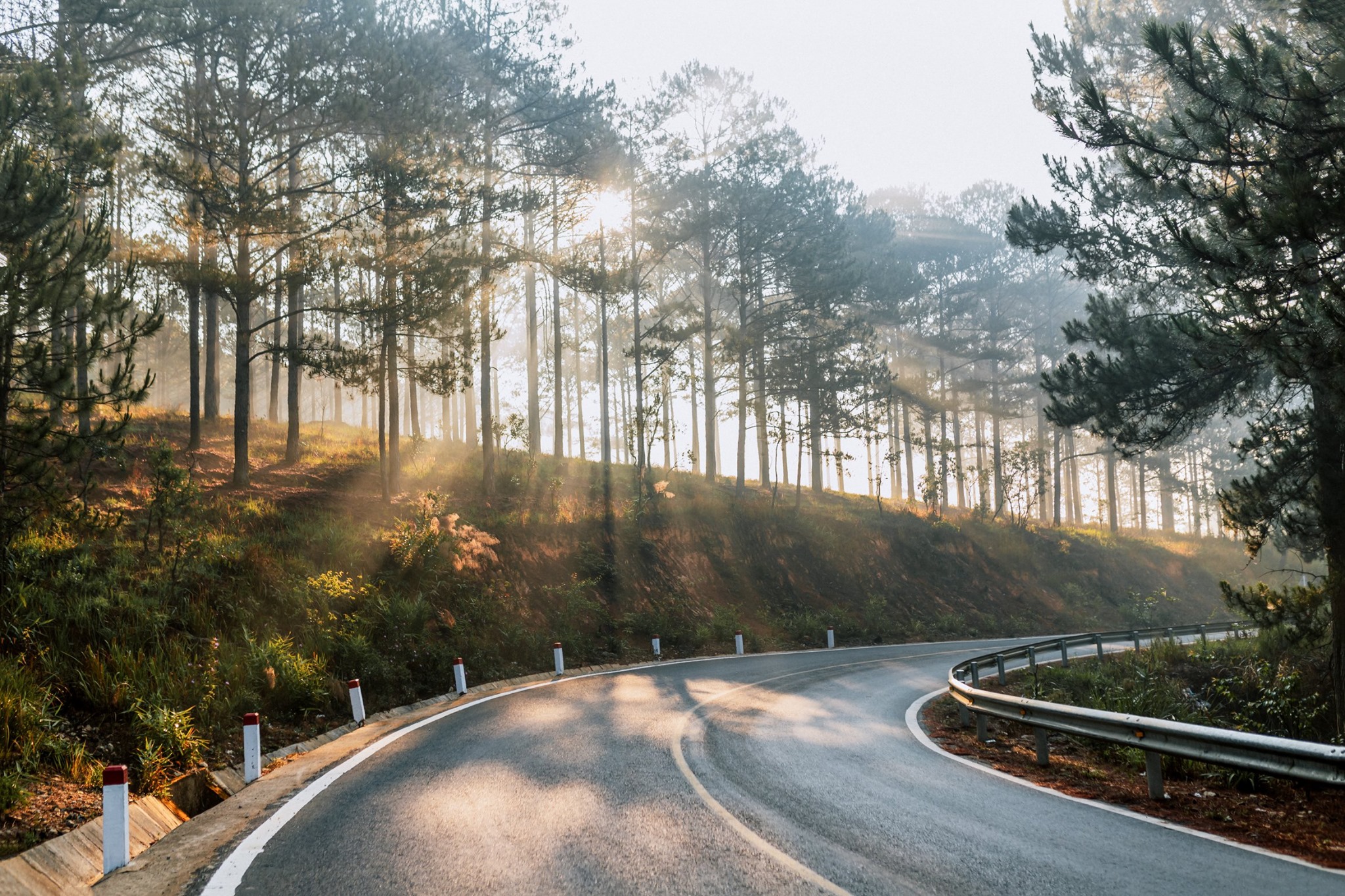 Cung đường Hồ Tuy&ecirc;n L&acirc;m