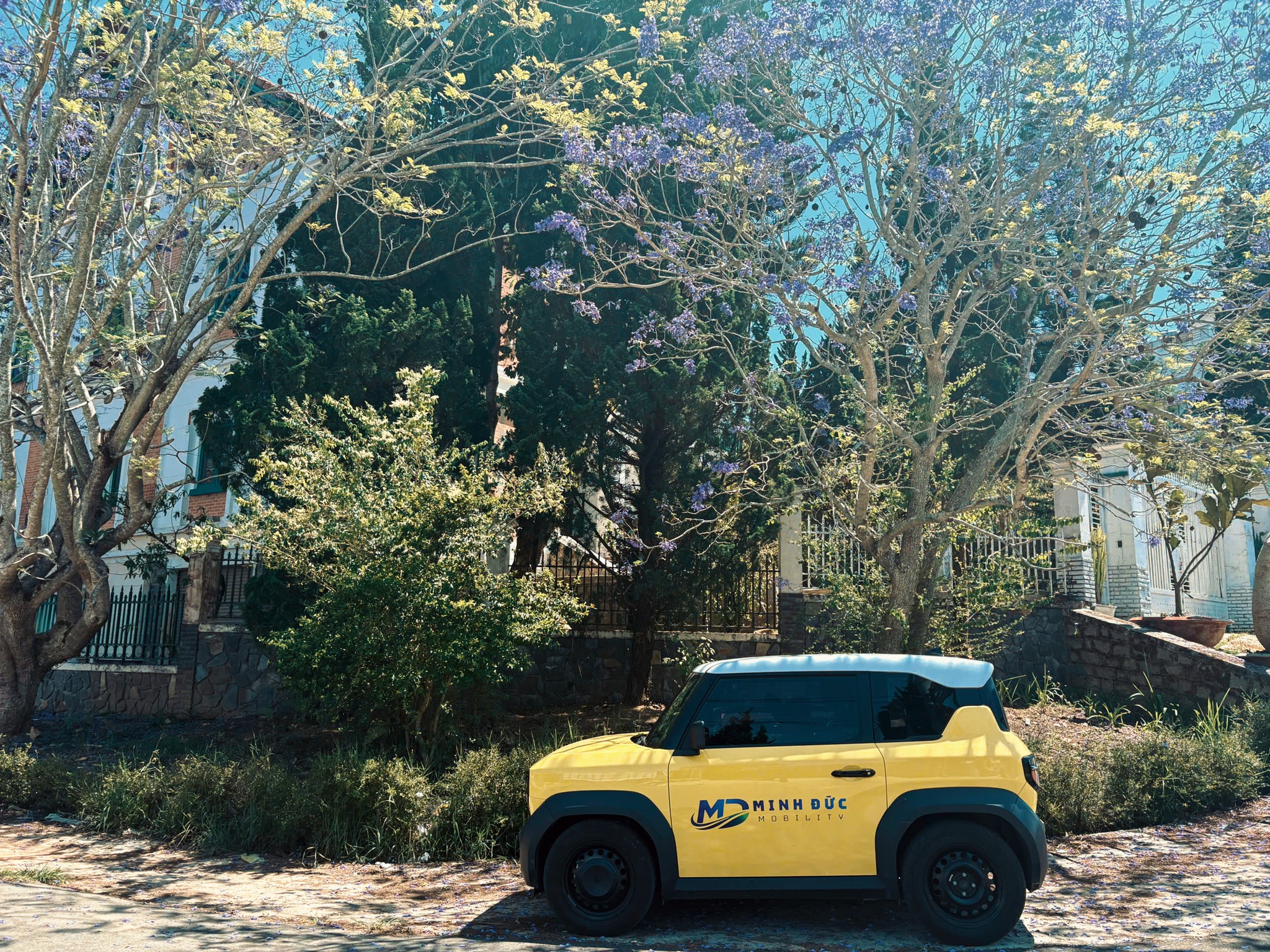 Thu&ecirc; xe tự l&aacute;i Đ&agrave; Lạt gi&aacute; tốt